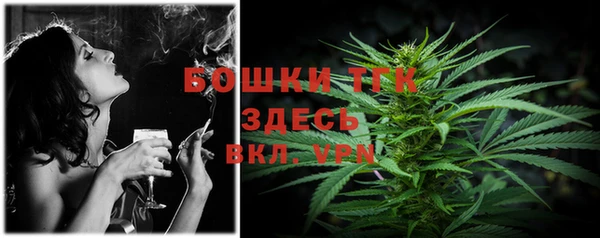 Альфа ПВП Горнозаводск