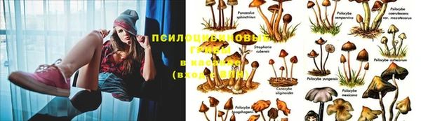 амфетамин Горняк