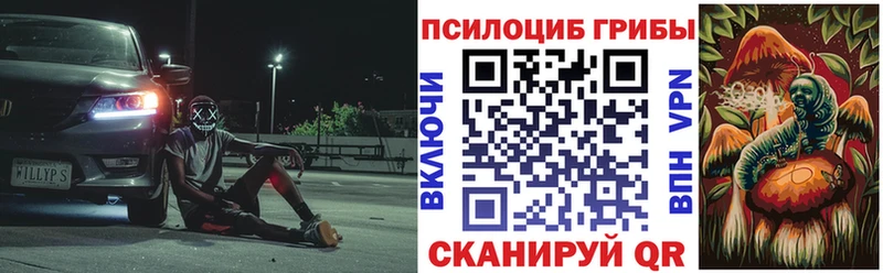 Псилоцибиновые грибы Psilocybine cubensis  Владикавказ 